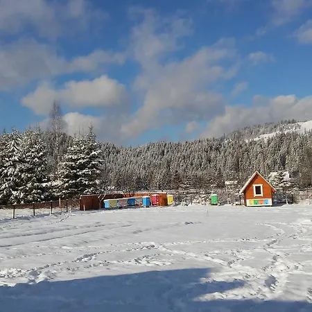 Affittacamere Karpatskyi Gomin Vorokhta