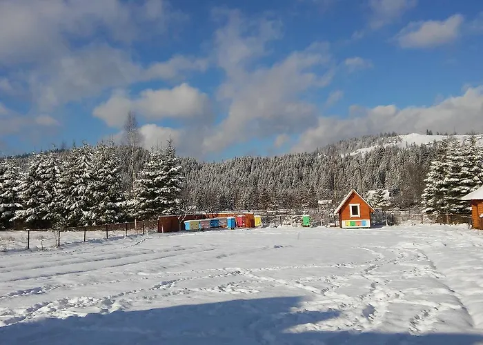 Penzion Karpatskyi Gomin Vorochta